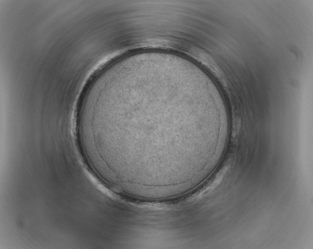 X0000113921037200910151435