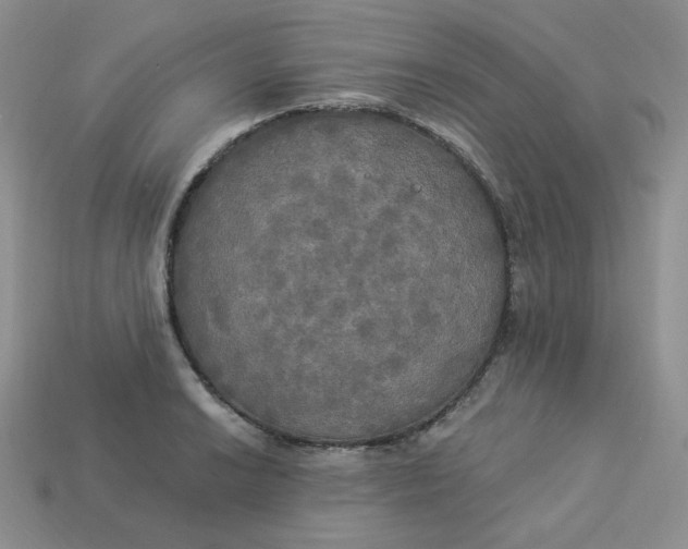 X0000113921038200910151435