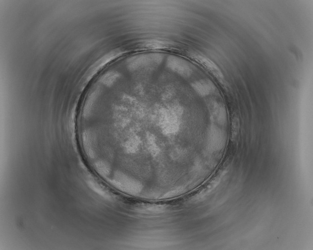 X0000113921039200910151435