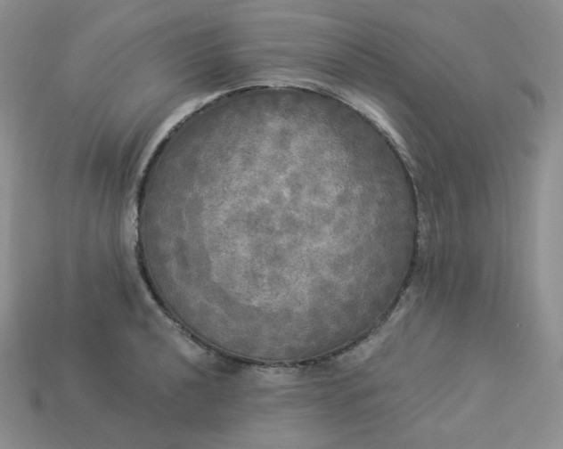 X0000113921040200910151435