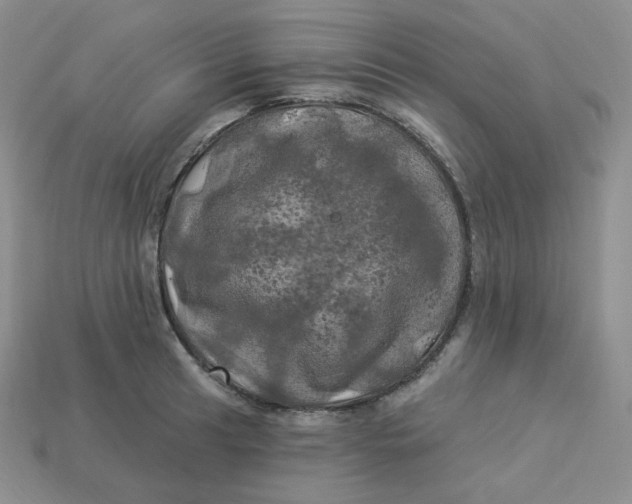 X0000113921041200910151435