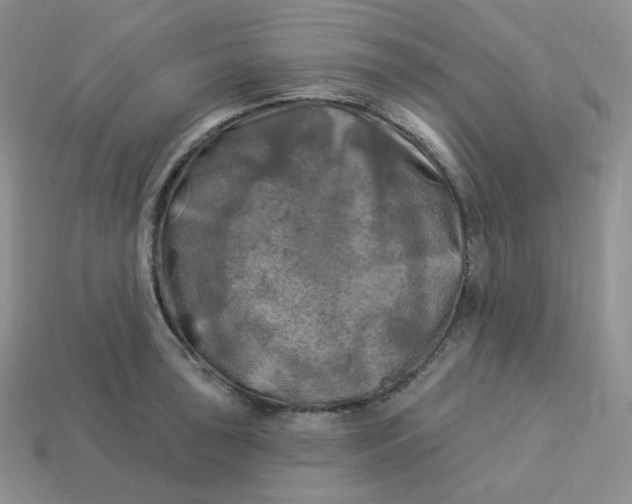 X0000113921043200910151435