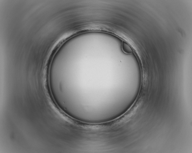 X0000113921045200910151435