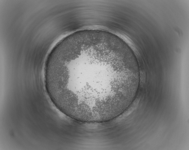 X0000113921046200910151435