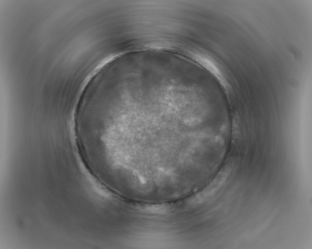 X0000113921047200910151435