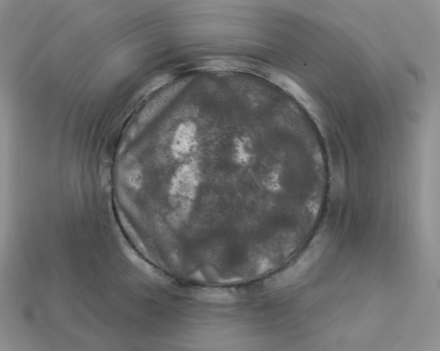 X0000113921049200910151435
