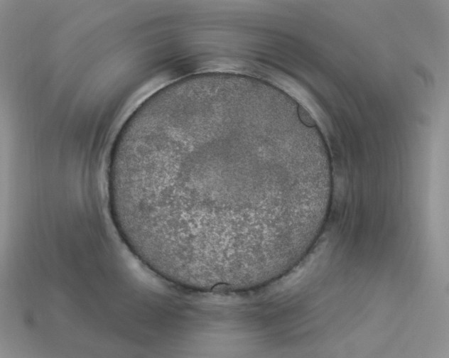 X0000113921050200910151435