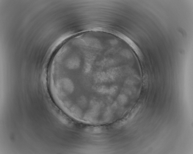 X0000113921051200910151435