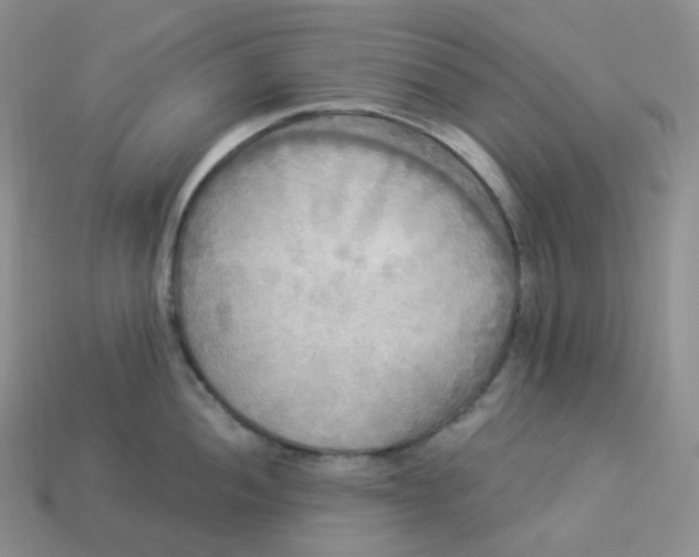 X0000113921052200910151435