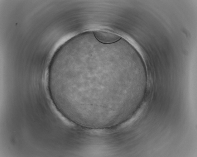 X0000113921053200910151435