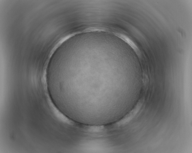 X0000113921055200910151435