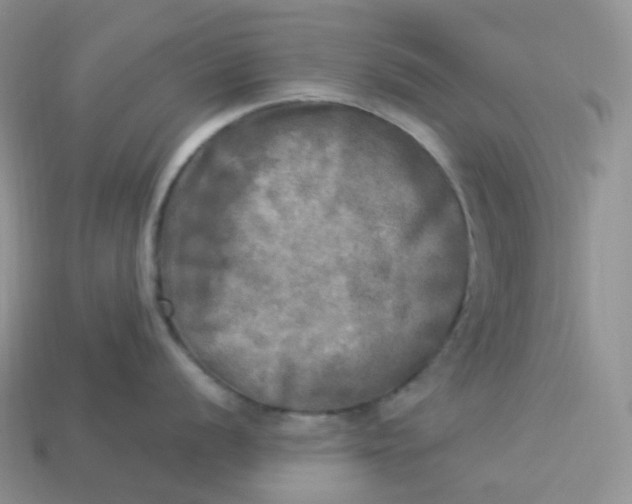 X0000113921056200910151435