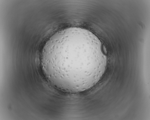 X0000113921058200910151434
