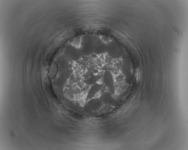 X0000113921059200910151434