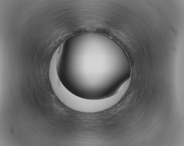 X0000113921060200910151434