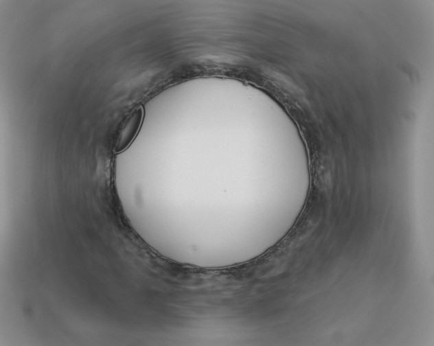 X0000113921061200910151434