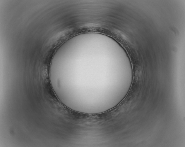 X0000113921062200910151434