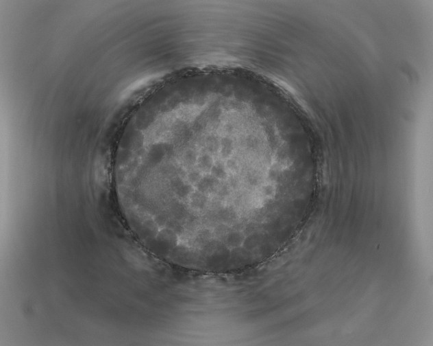 X0000113921063200910151434