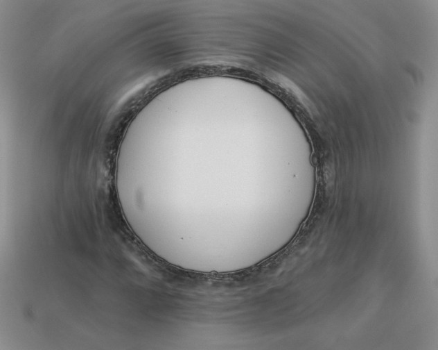 X0000113921064200910151434