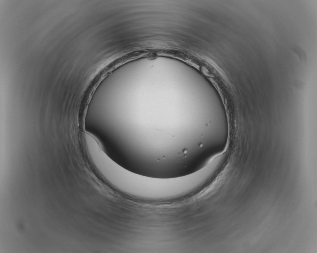 X0000113921065200910151434