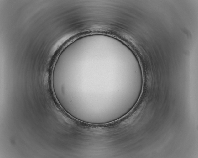 X0000113921066200910151434