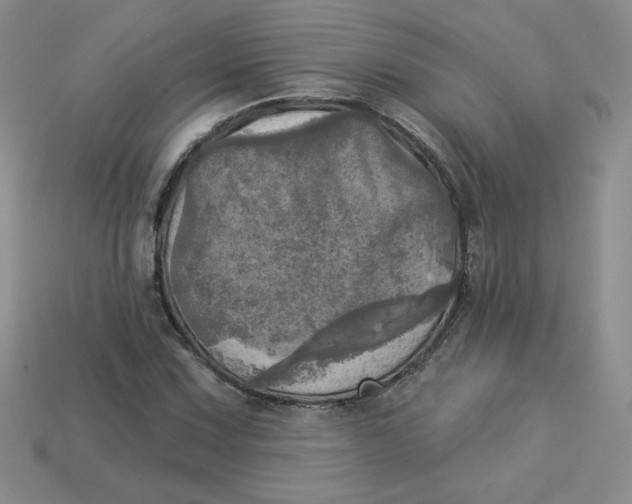 X0000113921067200910151434