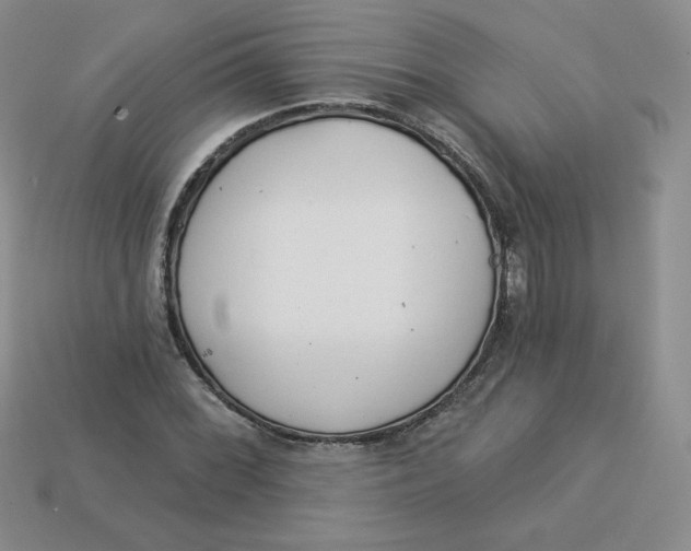 X0000113921068200910151434