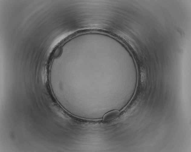 X0000113921069200910151434