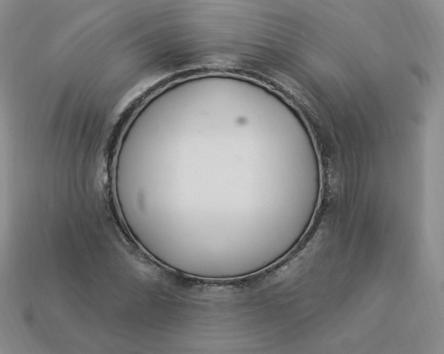 X0000113921070200910151434