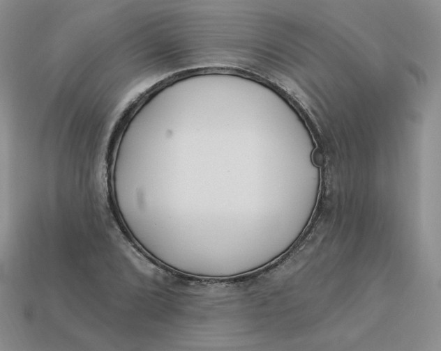 X0000113921072200910151434