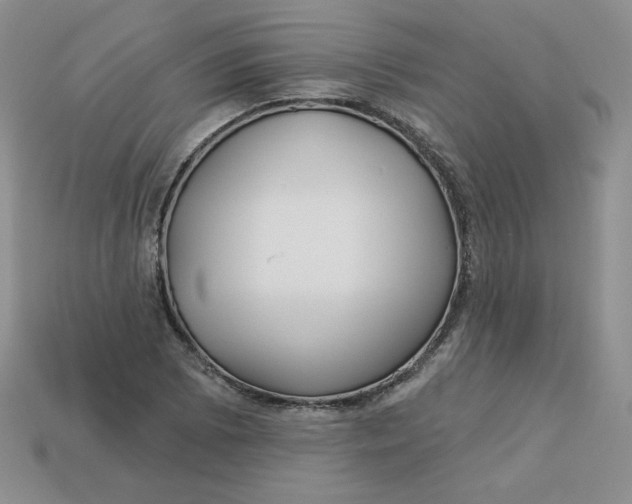 X0000113921073200910151434