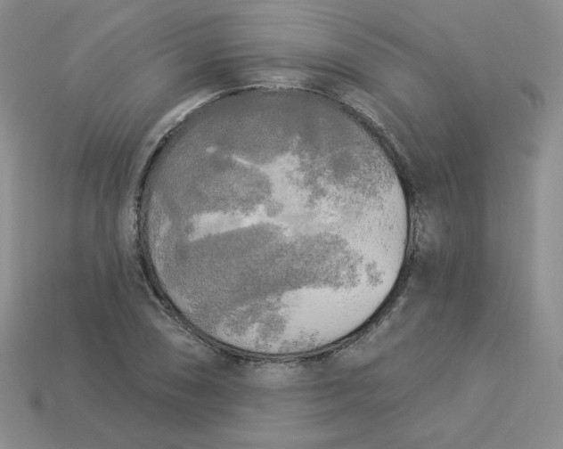 X0000113921074200910151434