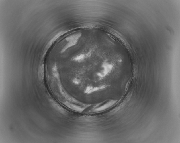 X0000113921075200910151434
