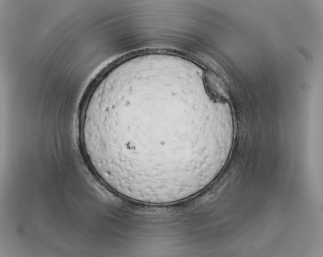 X0000113921076200910151434