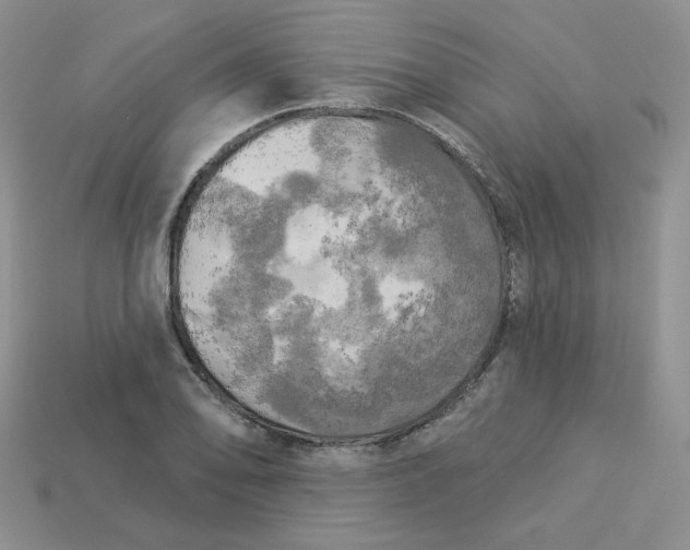 X0000113921078200910151434