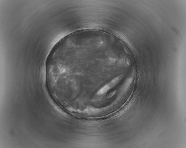 X0000113921079200910151434