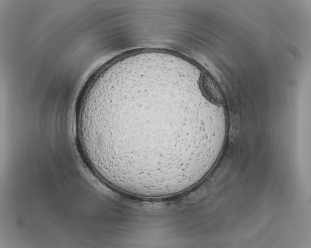 X0000113921080200910151434