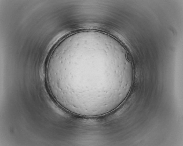 X0000113921082200910151434