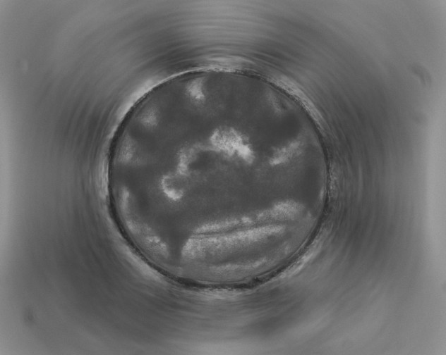 X0000113921083200910151434