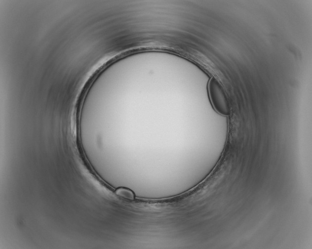 X0000113921084200910151434