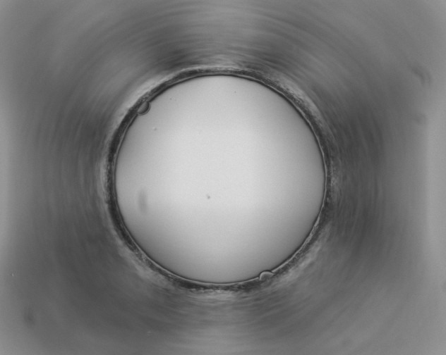 X0000113921085200910151434