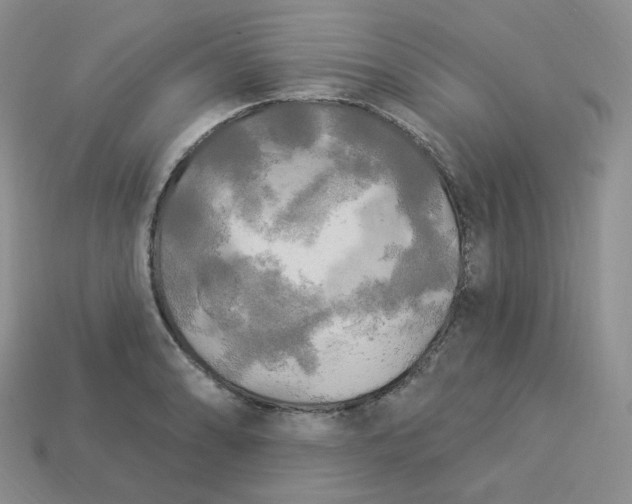 X0000113921086200910151434