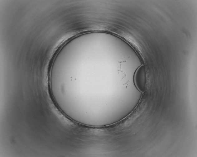 X0000113921088200910151434