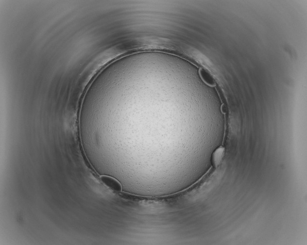 X0000113921089200910151434