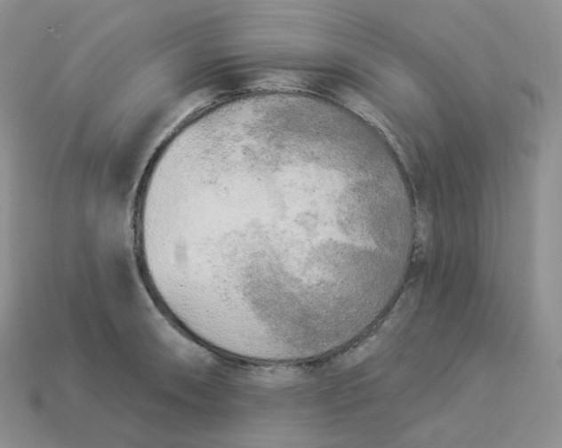 X0000113921090200910151434