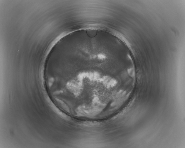 X0000113921091200910151434
