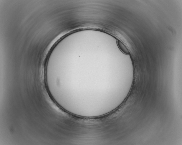 X0000113921092200910151434