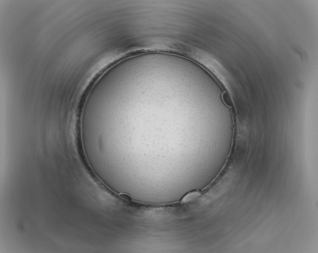 X0000113921093200910151434
