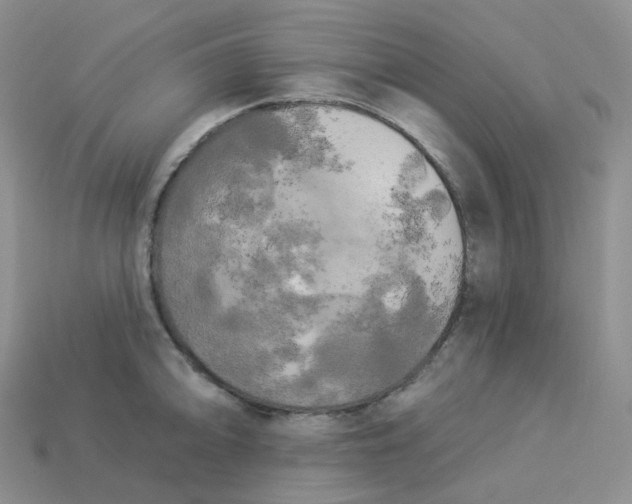 X0000113921094200910151434