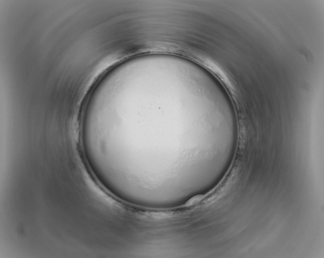 X0000113921095200910151434